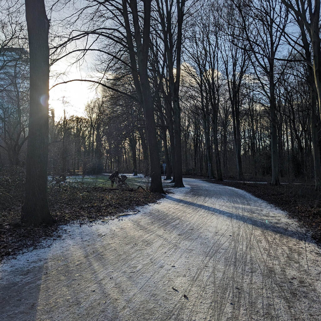 haagse bos wandelcoach den haag